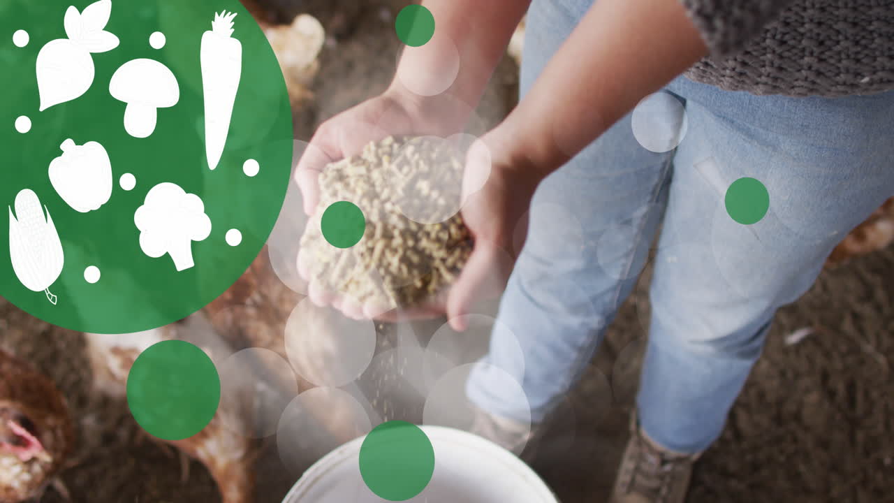 анимация овощных икон и пятен над средней частью женщины, кормящей цыплят на птицеводческой ферме.