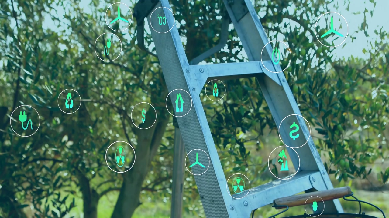 Ladder sliding into olive grove and basket swinging, demonstrating eco icons clustering around both