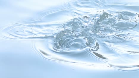 a duck dives underwater, leaving ripples and bubbles on the calm water surface.