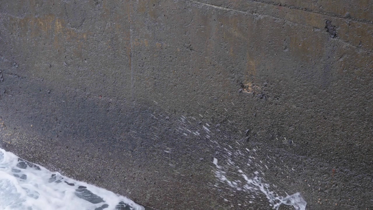Foamy waves collide with coastal rocks under natural light as small black crabs scatter and regroup, demonstrating resilience and adaptability in a constantly shifting shoreline environment.
