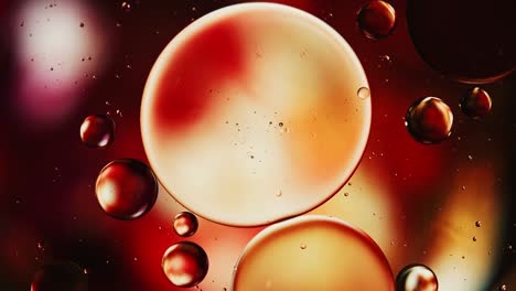 abstract colorful food oil drops bubbles and spheres flowing