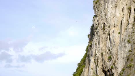 a bird flying off of the rocky mountain of ha long bay, vietnam - tilting shot