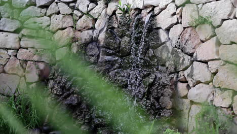 Cascada-Milagrosa-Cae-En-Columbarium-Hotel-Israel