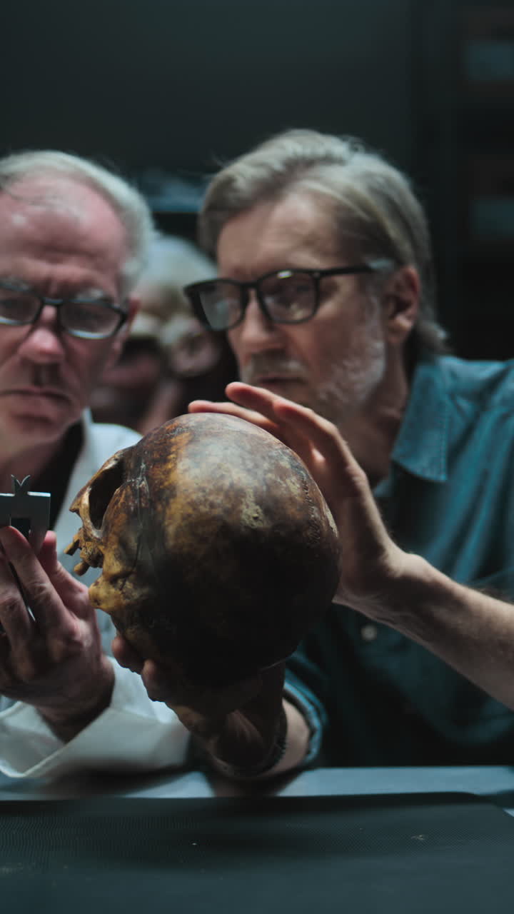 과학자 들 이 고대 두개골 을 조사 하고 있다