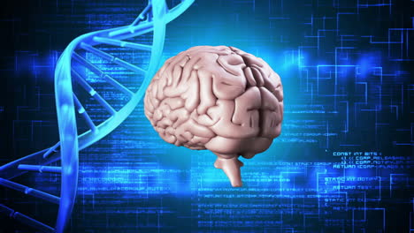 brain spinning on dna background