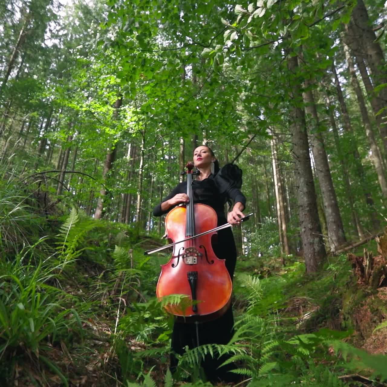 Pretty female with stringed instrument. Large cello in woman's hands in the forest. Beautiful lady in long black dress performs music among nature. View from below.