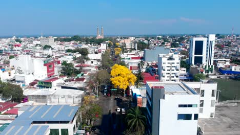 Drone-shot-of-Villahermosa-Tabasco-Mexico-in-Guayacan-tree-flowers-season