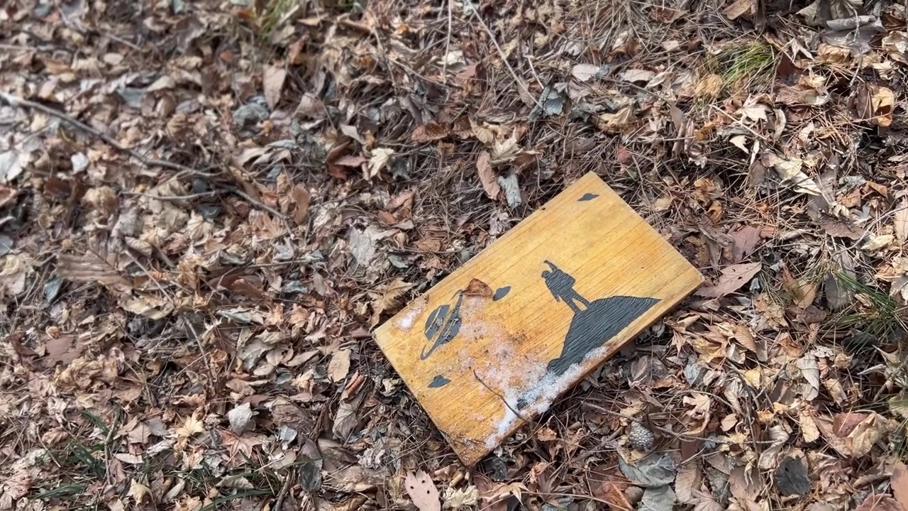 UFO Symbols Wooden Sign Hiking Trail Forest Floor Fukushima Japan