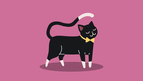 animación de personajes de animales gatos lindos