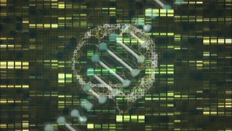 dna strand and genetic code analysis animation over green and yellow data patterns