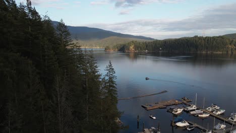 Slow-moving-drone-shot-of-trees-and-boats-docked-in-a-lake-in-Vancouver,-British-Columbia