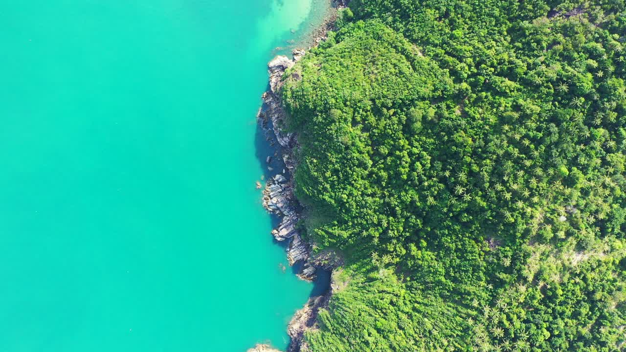 hermoso bosque de palmeras en la costa cristalino claro agua de mar turquesa lavando en la orilla