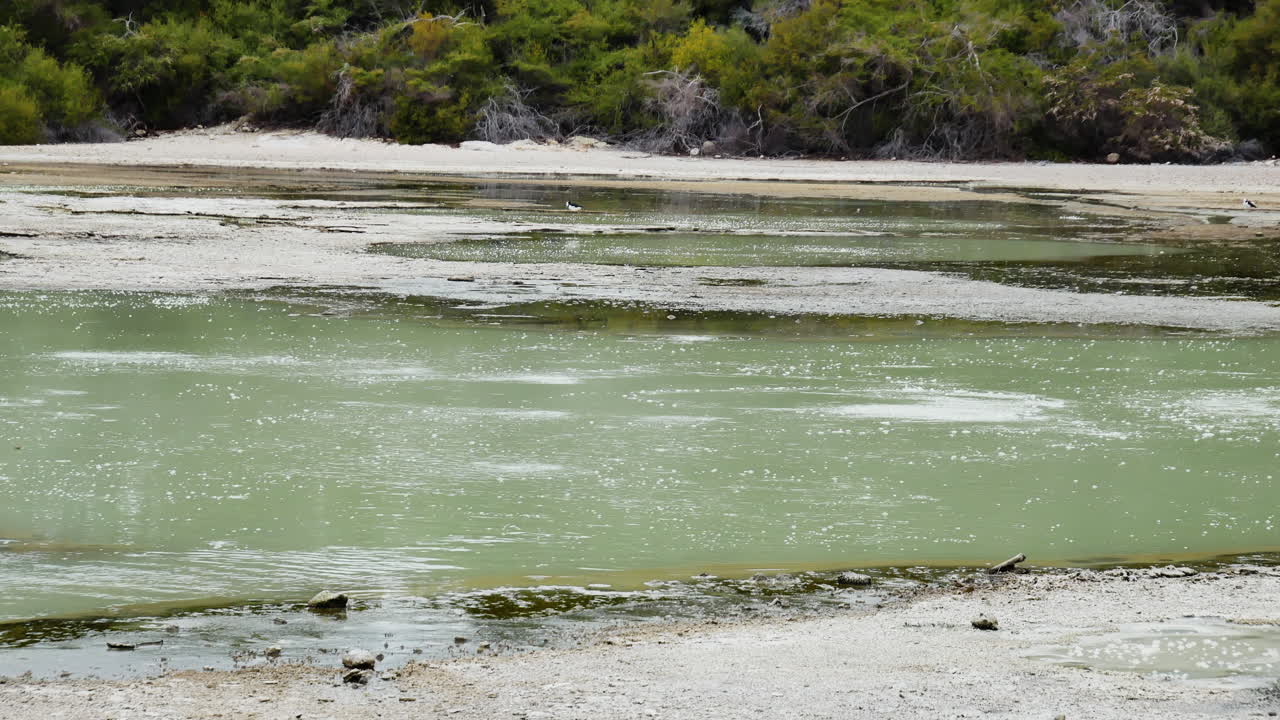 toma panorámica de piscinas de agua tranquila en zona volcánica activa
