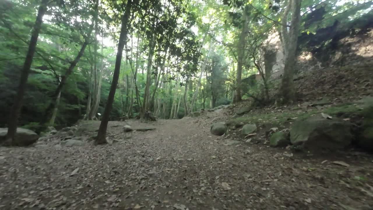 FPV-drone gjennom skogen over broen og turstien