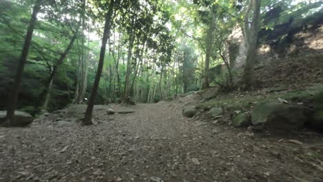 FPV-Drohne-Durch-Den-Wald-über-Die-Brücke-Und-Den-Wanderweg