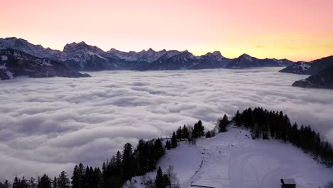 Plataforma-Rodante-Aérea-Sobre-Un-Bosque-De-Pinos-Para-Revelar-Un-Mar-De-Niebla-Y-Montañas-Escarpadas-En-Arvenbüel,-Suiza