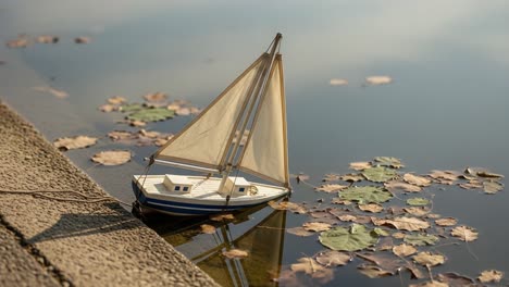 A Serene View of a Model Sailboat Floating Calmly on Still Water Surrounded by Fallen Leaves, Capturing the Essence of Tranquility and Nature&#039;s Beauty