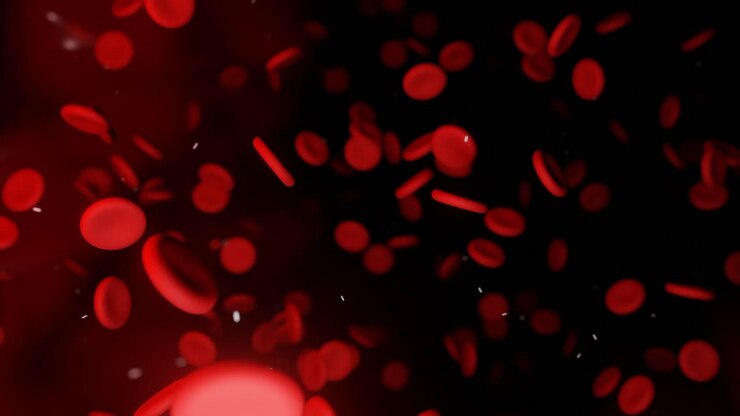 Globuli Rossi: Visione Microscopica del Sangue Umano