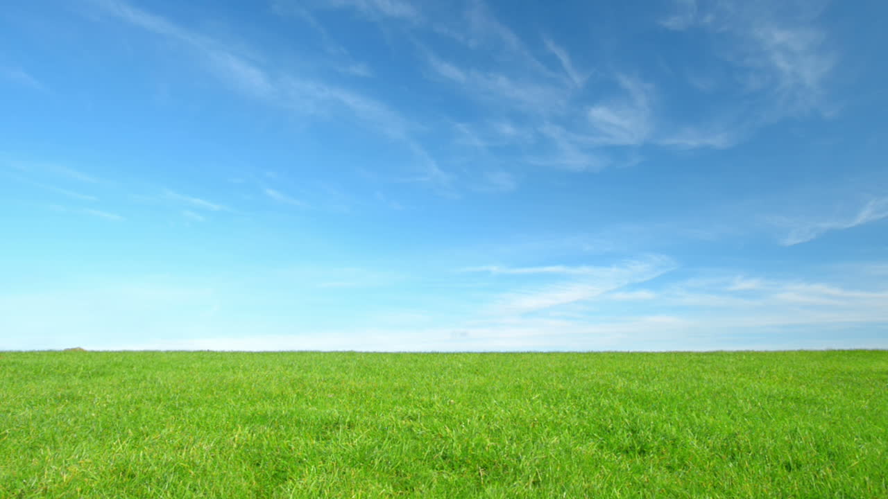 공원에서 야외에서 달리는 달리기 선수