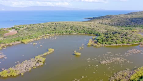 vista aérea de manglares y humedales de azua, república dominicana