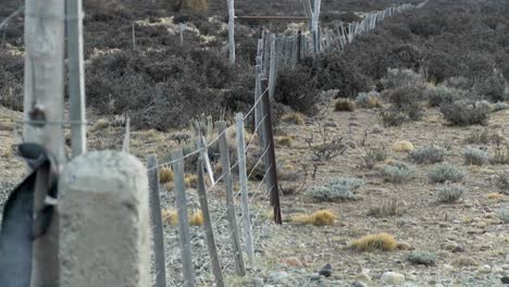 Una-Valla-Solitaria-En-Las-Llanuras-Azotadas-Por-El-Viento-De-La-Patagonia-1