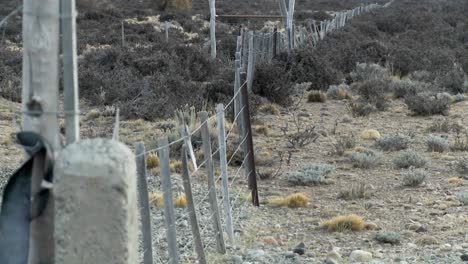 una valla solitaria en las llanuras azotadas por el viento de la patagonia 1