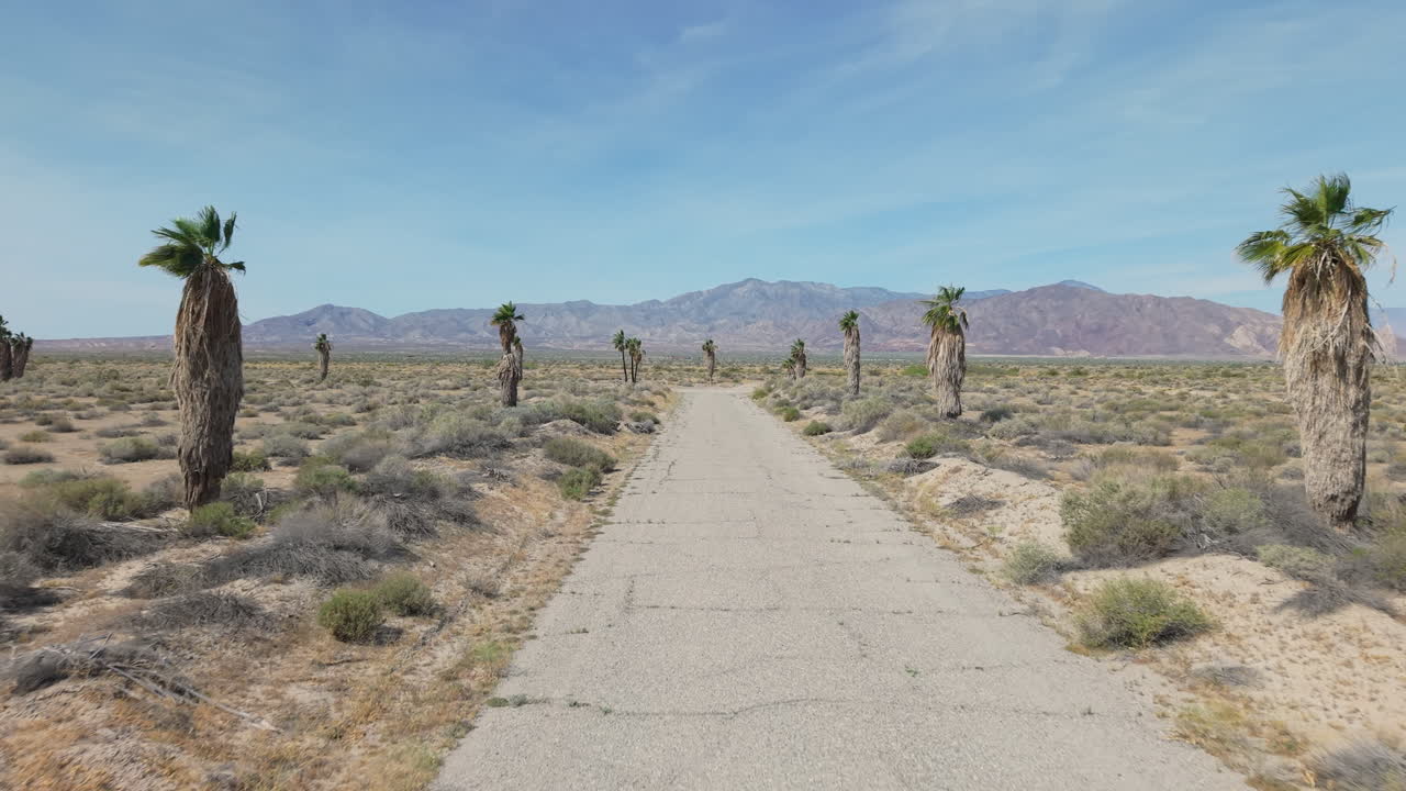 Ripresa da drone a bassa quota che sorvola una strada abbandonata fiancheggiata da palme a Salton City, California. Le montagne San Jacinto si ergono imponenti in lontananza oltre il Salton Sea.