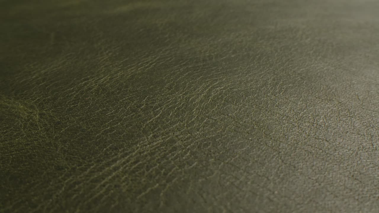 Detailní záběr textury zelené kůže