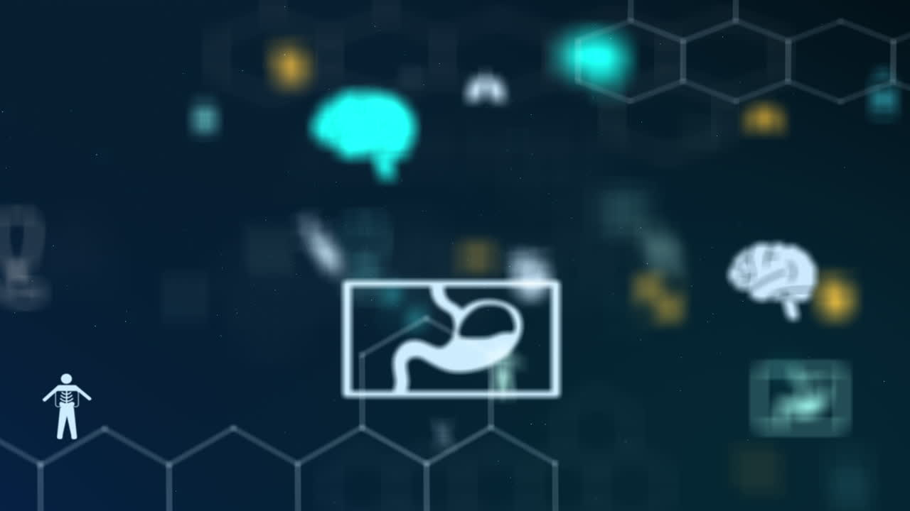 Medical Icons and Human Anatomy Illustration