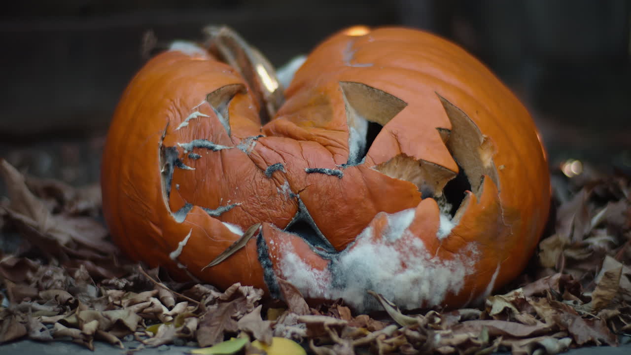 lapso de tiempo medio de una jack-o-lantern cubierta de moho mientras se derrumba