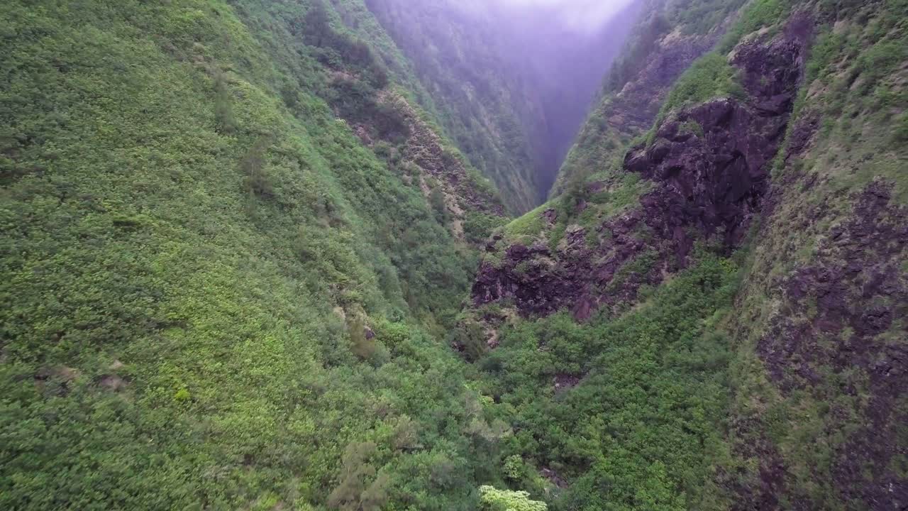 Cinematic aerial view of mystic valley with fog over green tropical trees on sharp slopes of mountain, Hawaii