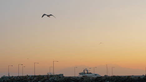 scene with sea quay and seagull flying in the sky at sunset