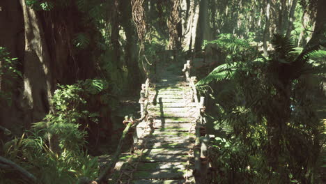 jungle bridge