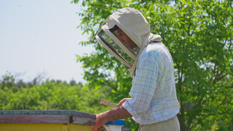 apiarist holding an instrument for collecting propolis and smoker. man using tools and bending over the beehive. nature background.