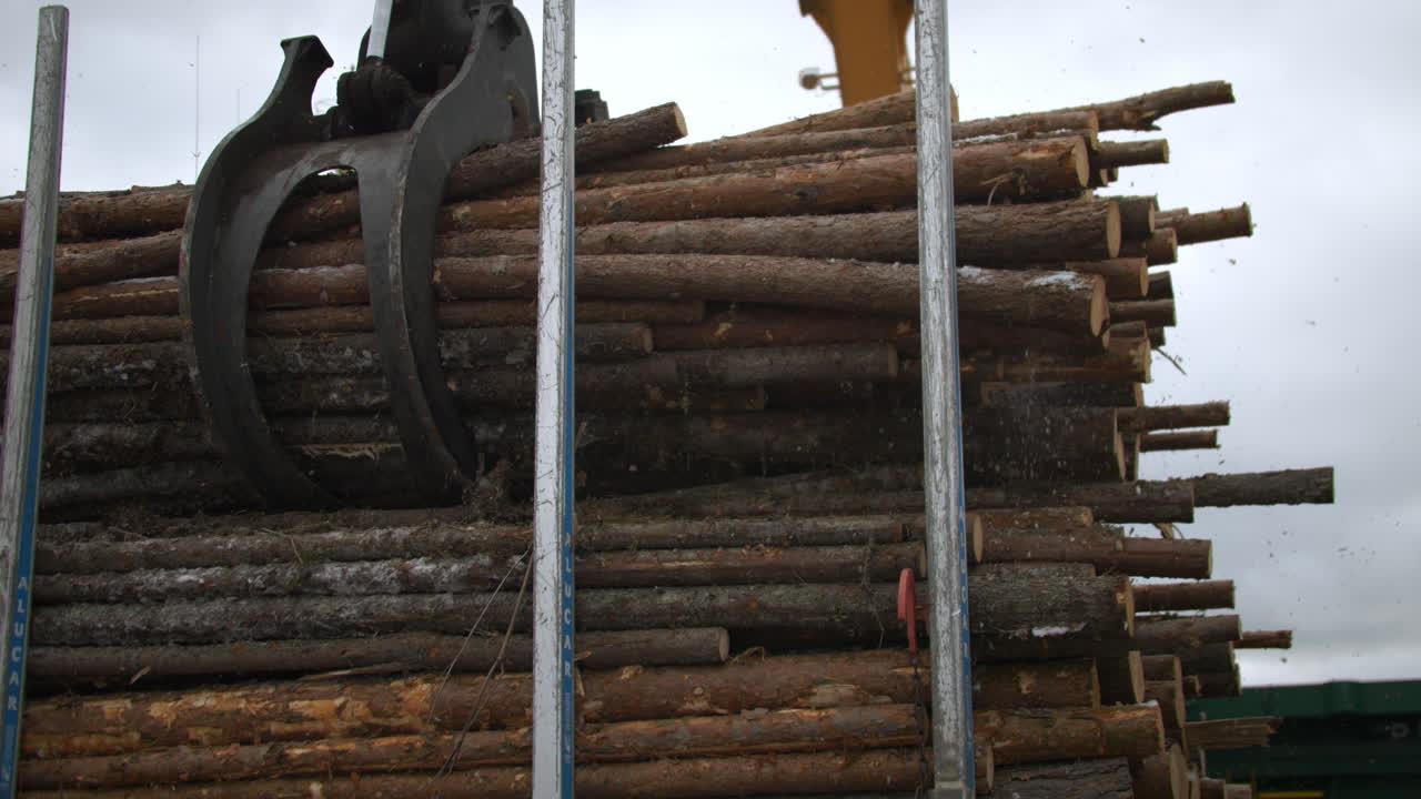 Slow motion shot of Mechanical gripper unloading logs, Forestry And Lumber Industry