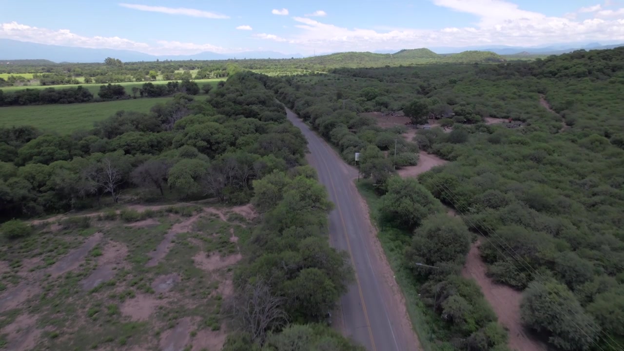 Vista aerea con drone 4K della strada panoramica per Cafayate, Salta, Argentina. Paesaggio verde lussureggiante con alberi che circondano il percorso attraverso le splendide Valli Calchaquí.