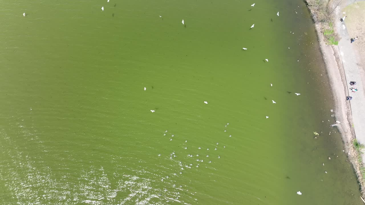 퀸즈, 뉴욕에서 아름다운 날에 초원 호수 위로 공중보기