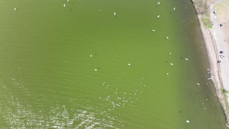 una vista aérea sobre el lago del prado en un hermoso día en queens, ny
