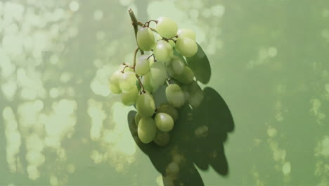 composición de uvas blancas sobre árboles de fondo