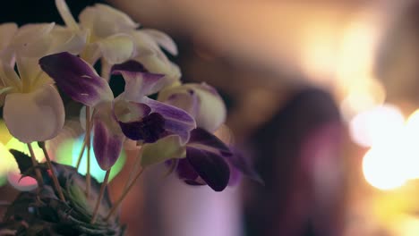 decoración tropical con hojas y hermosas orquídeas púrpuras
