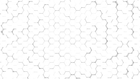 3d rendering hexagon white grid pattern technology background loop