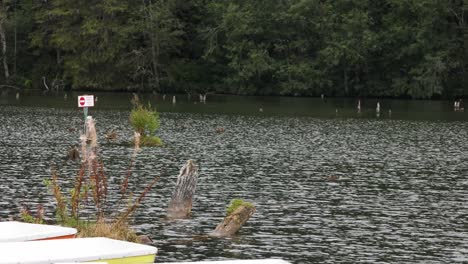 Panorama-Del-Lago-Rojo-Durante-El-Día-En-El-Condado-De-Harghita,-Rumania