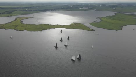 Un-Gran-Grupo-De-Veleros-Holandeses-Frisones-Gigantes-Navegan-En-El-Sneekermeer-En-Un-Día-Soleado