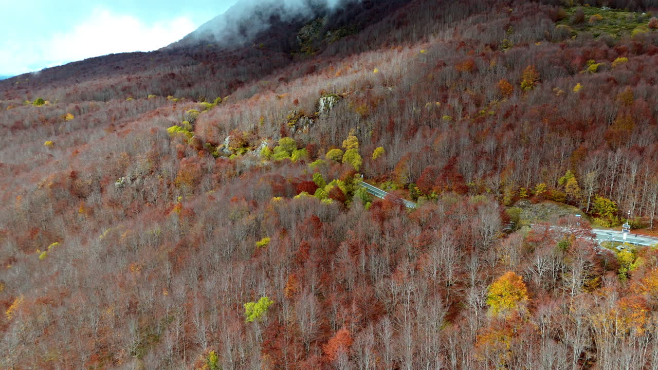 Autumn forest aerial view with winding road in dramatic scenery