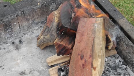 la barbacoa o fuego braai