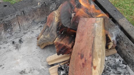 the barbecue or braai fire