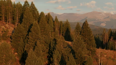 Cinematic-aerial-drone-zoomed-first-snow-on-Denver-Mount-Blue-Sky-Evans-14er-peak-early-autumn-fall-beautiful-golden-yellow-morning-sunrise-day-Colorado-Rocky-Mountains-slowly-reveal-up-motion