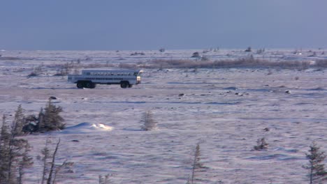 an arctic crawler tundra buggy moves across the frozen expanse of hudson bay canada