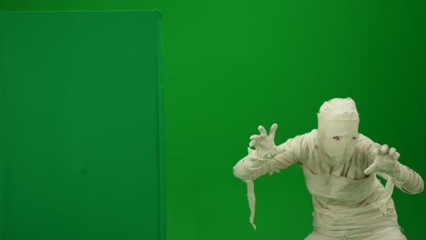 mummy on green screen