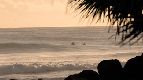 surfers waiting for waves at sunrise at burleigh heads, gold coast, australia